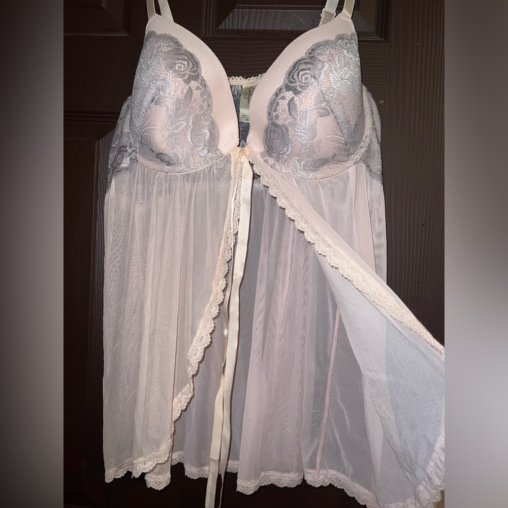 Pink Lace Chemise with Sheer Elegance